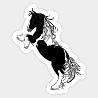 Black Tobiano Rearing Gypsy Vanner Sticker